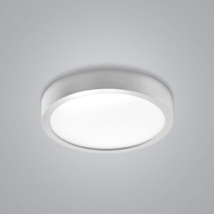 Surface Lights